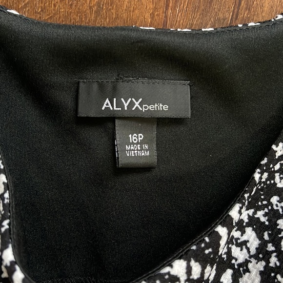 Alyx Petite. Size 16P. Black and white dress with red trim at the bottom. - Picture 5 of 9